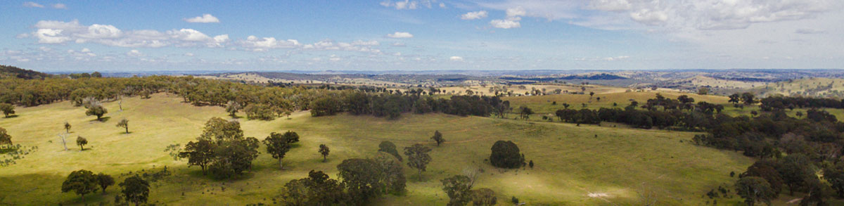 Southern Tablelands Property