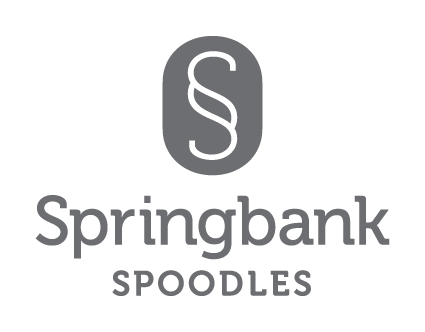 Springbank Spoodles