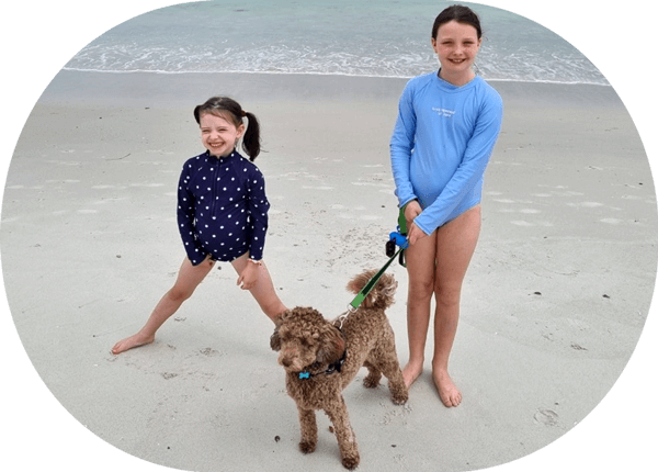 SS_Excercise_Landscape Spoodle Puppy Exercise Requirements